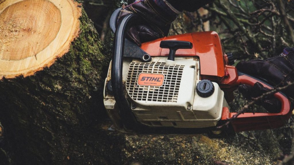 Chainsaw and tree stump