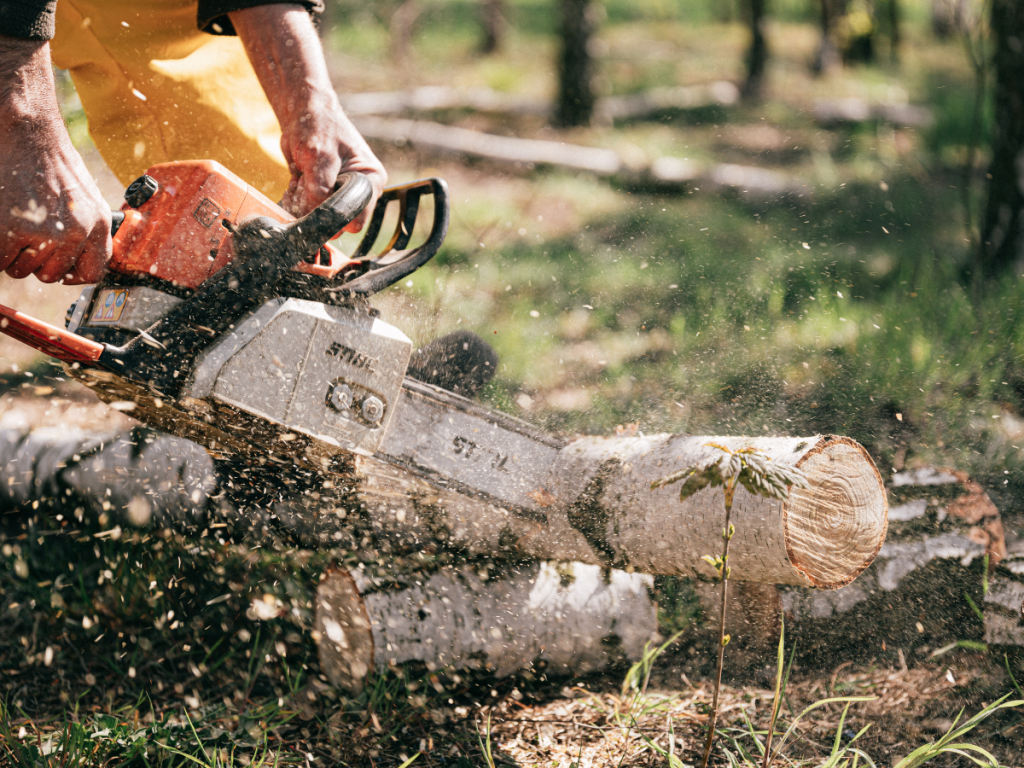 Best Chainsaw Woodturning Online 1