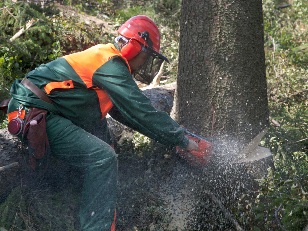 Best Chainsaw Woodturning Online 21