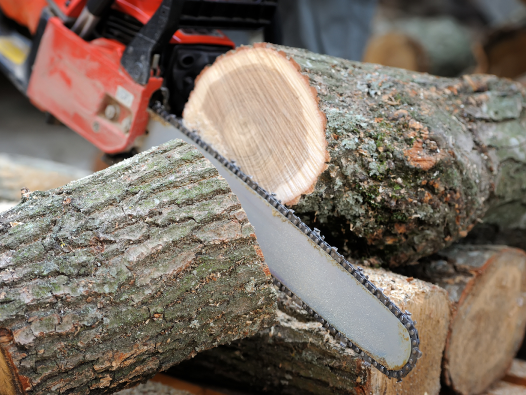 Best Chainsaw Woodturning Online 44