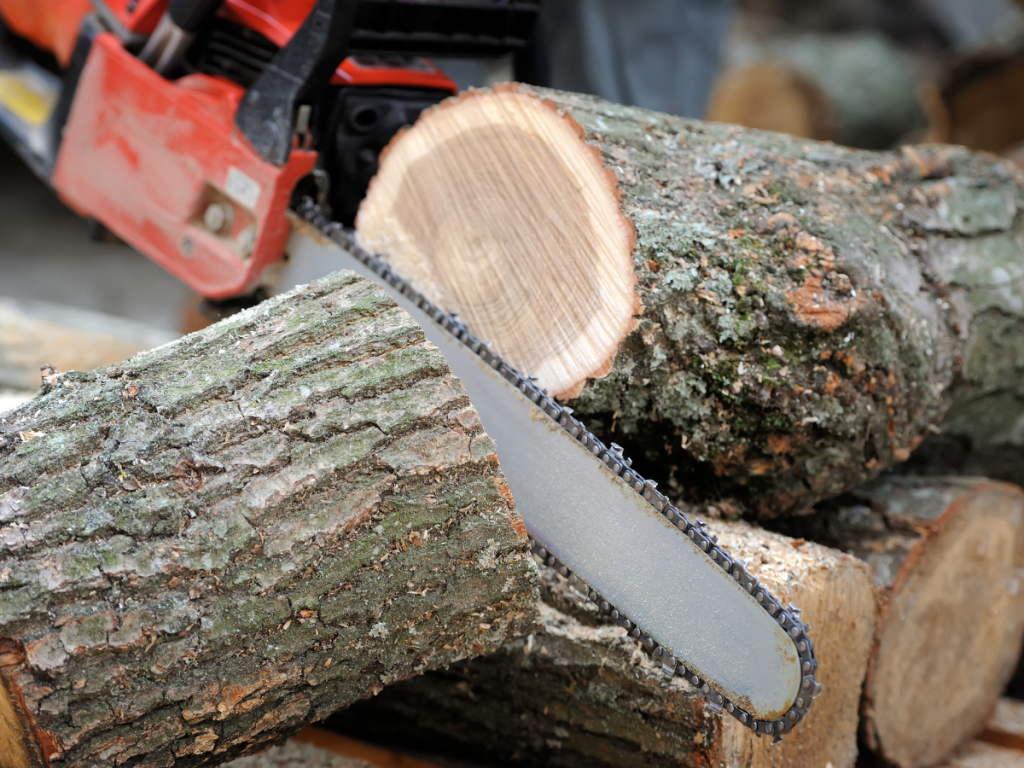 Best Chainsaw Woodturning Online 47