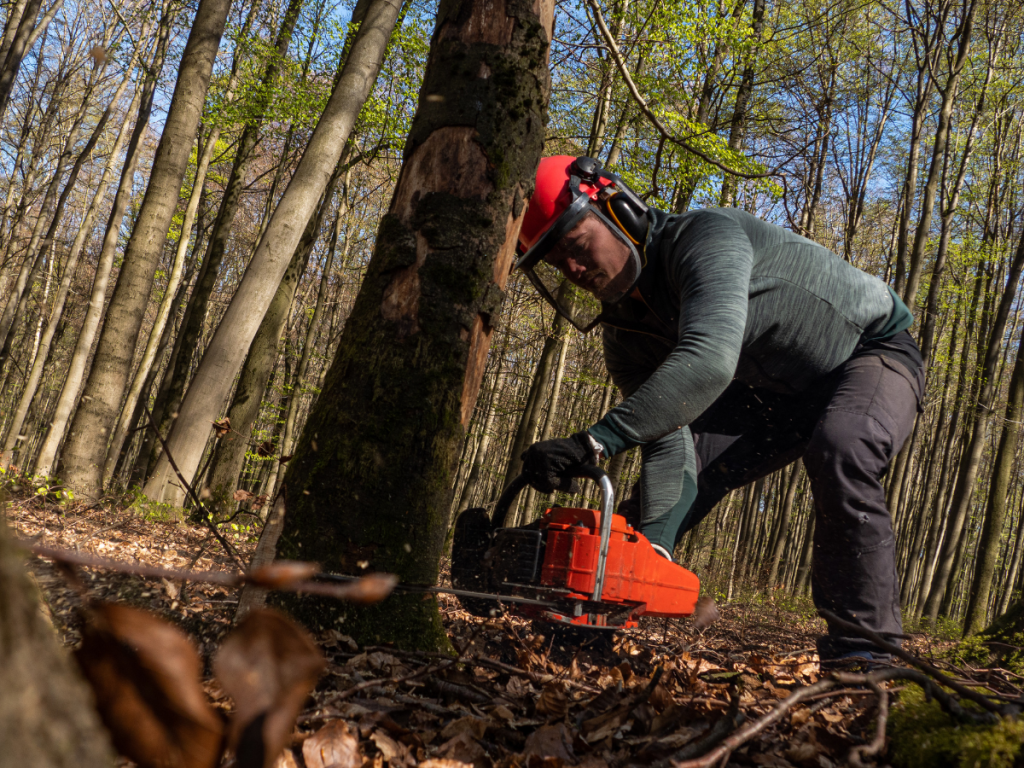 Best Chainsaw Woodturning Online 50