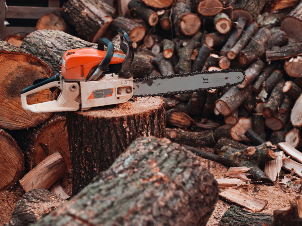 Best Chainsaw Woodturning Online 52