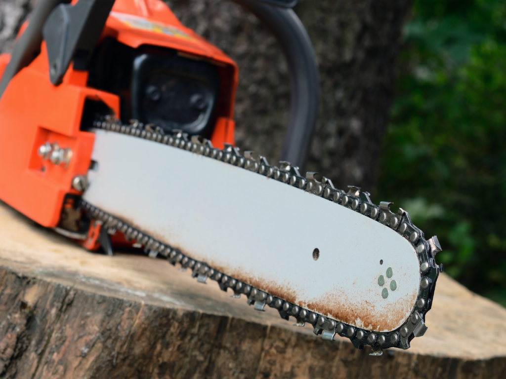 Best Chainsaw Woodturning Online 55