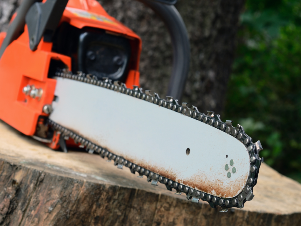 Best Chainsaw Woodturning Online 54