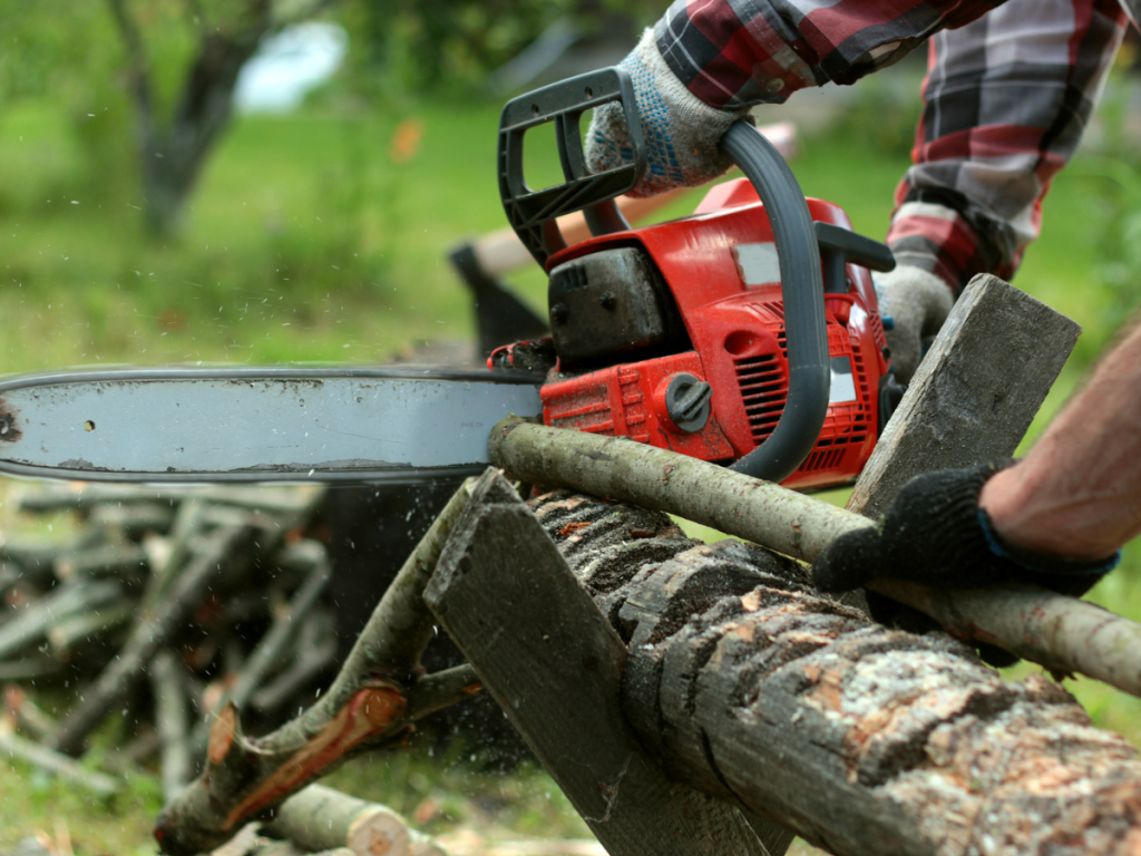 Best Chainsaw Woodturning Online 5