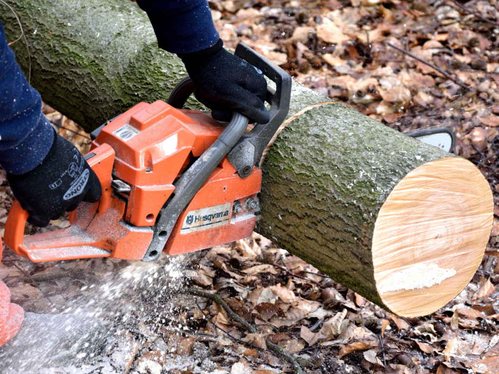 Best Chainsaw Woodturning Online 7