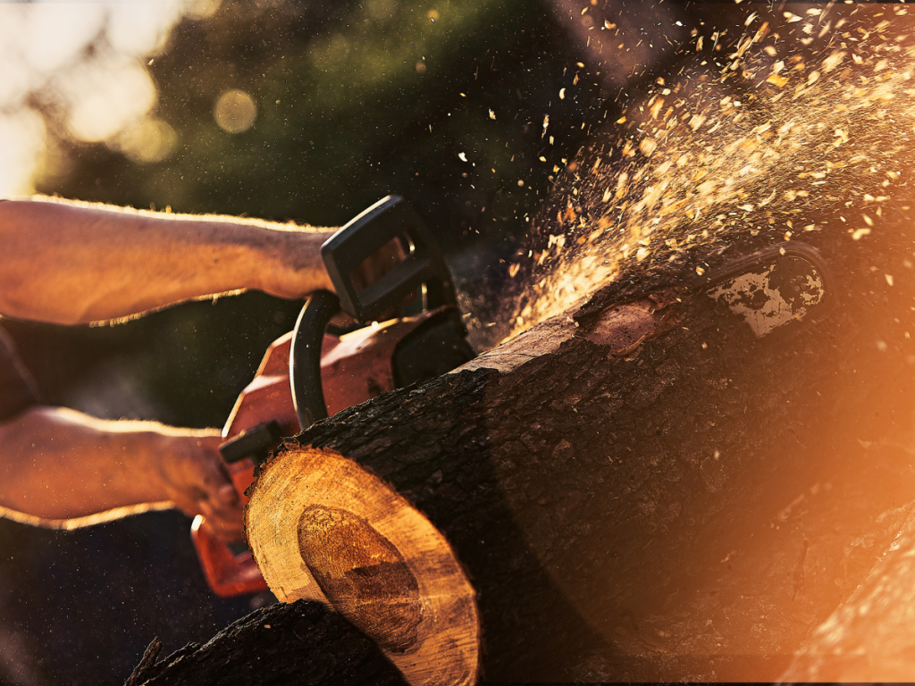 Best Chainsaw Woodturning Online 7