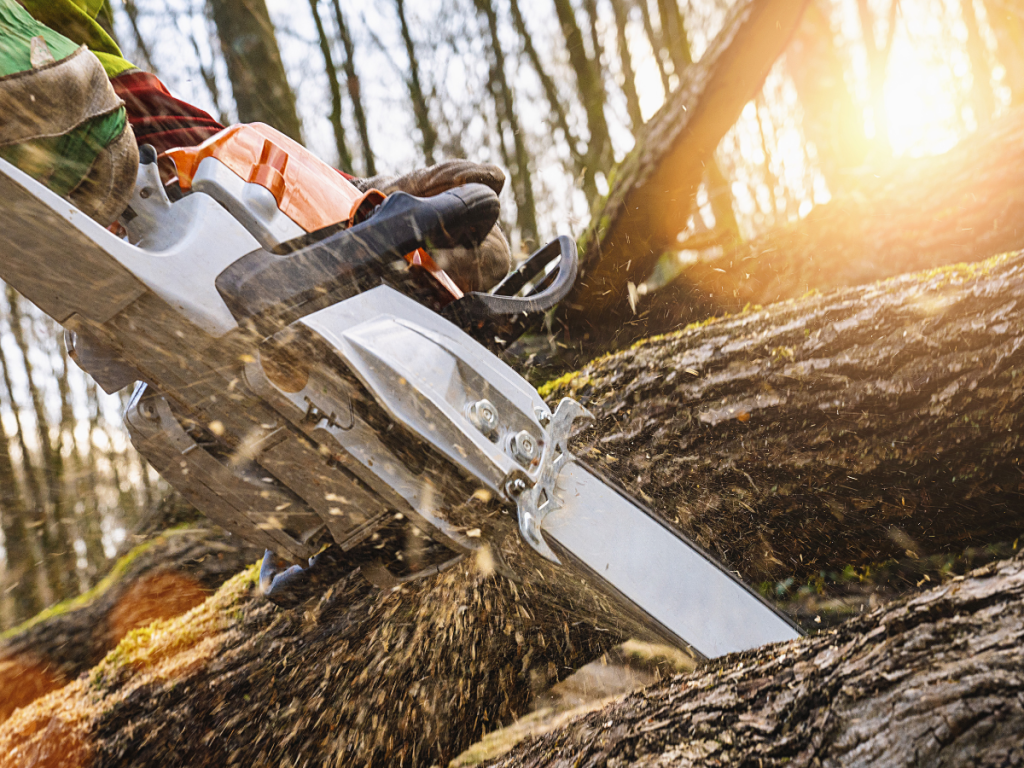 Best Chainsaw Woodturning Online 11