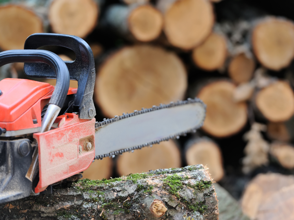 Best Chainsaw Woodturning Online 13