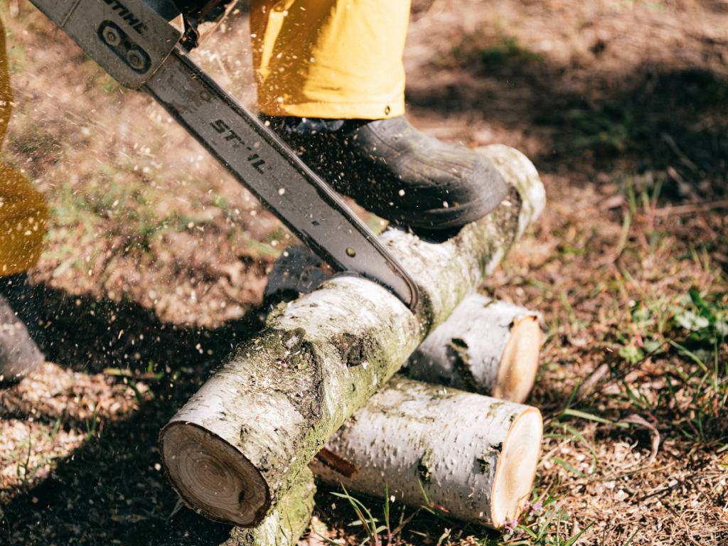 Best Chainsaw Woodturning Online 127