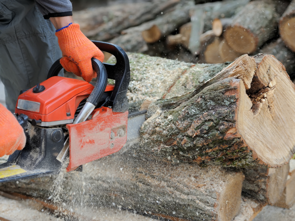 Best Chainsaw Woodturning Online 17