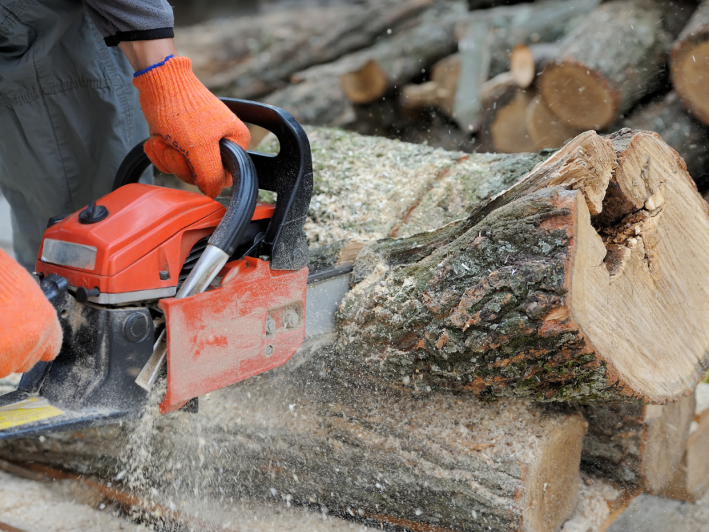 Best Chainsaw Woodturning Online 129